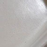 白土貫入六角茶船