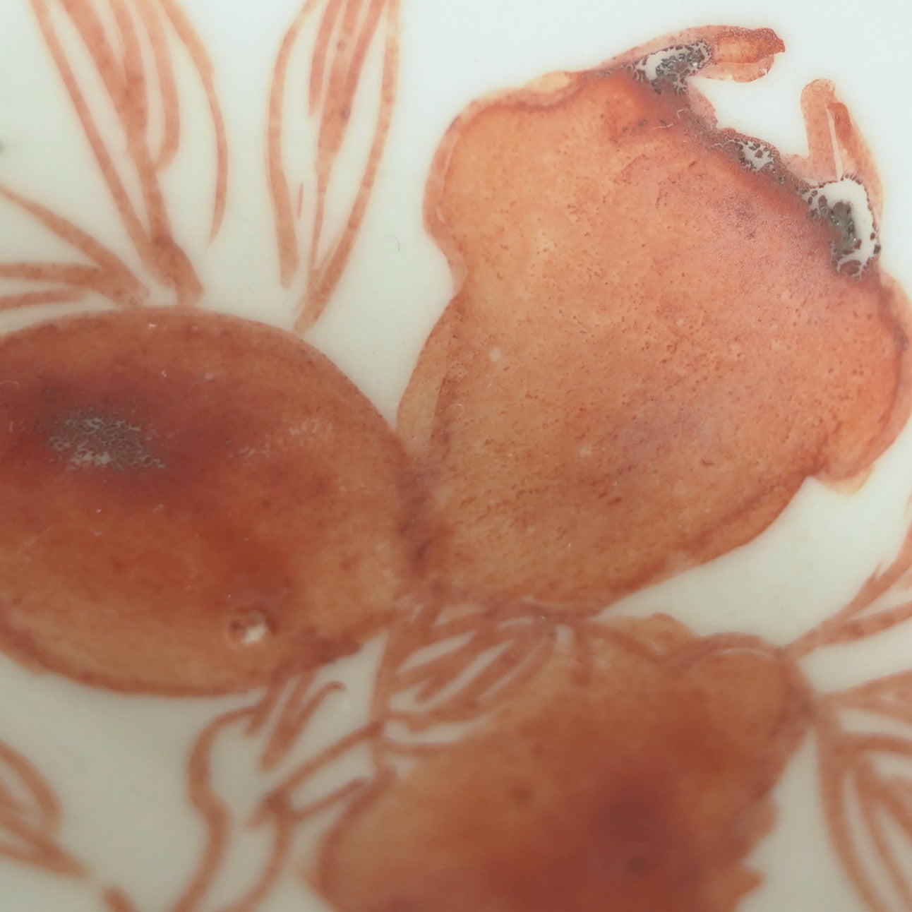 赤絵福寿三多文皿中②