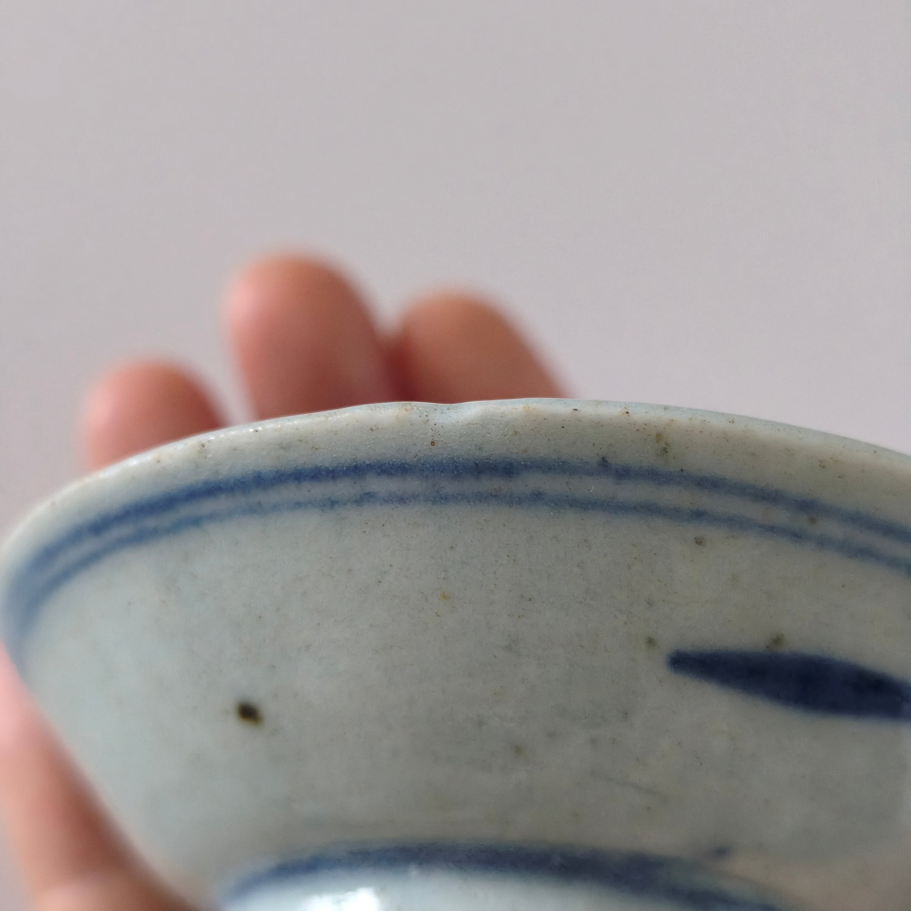 青花絡枝蓮文豆皿④