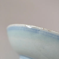 青花絡枝蓮文皿③