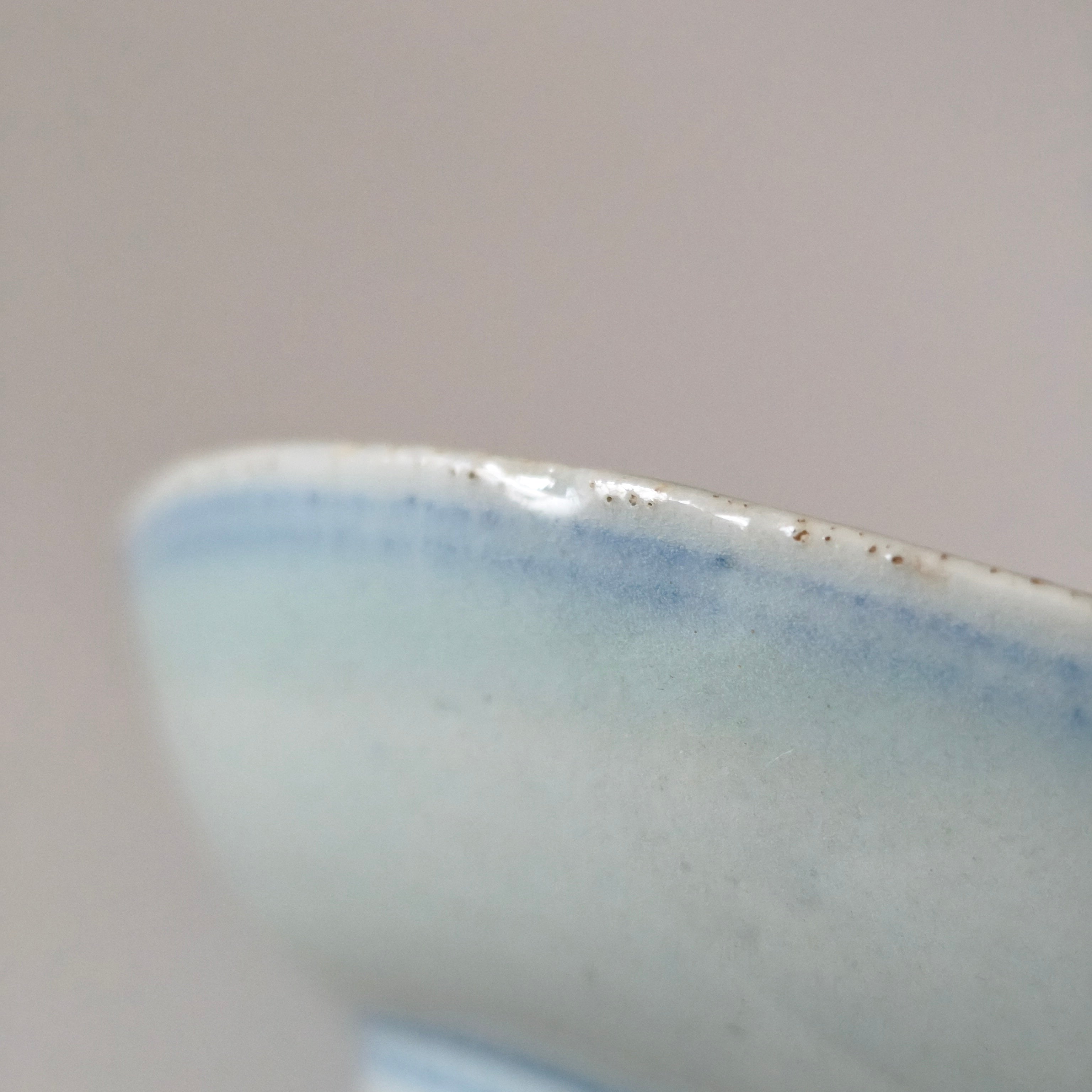 青花絡枝蓮文皿③