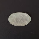 白蝶貝山茶花茶枕①楕円