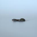 銅製獅子茶枕①