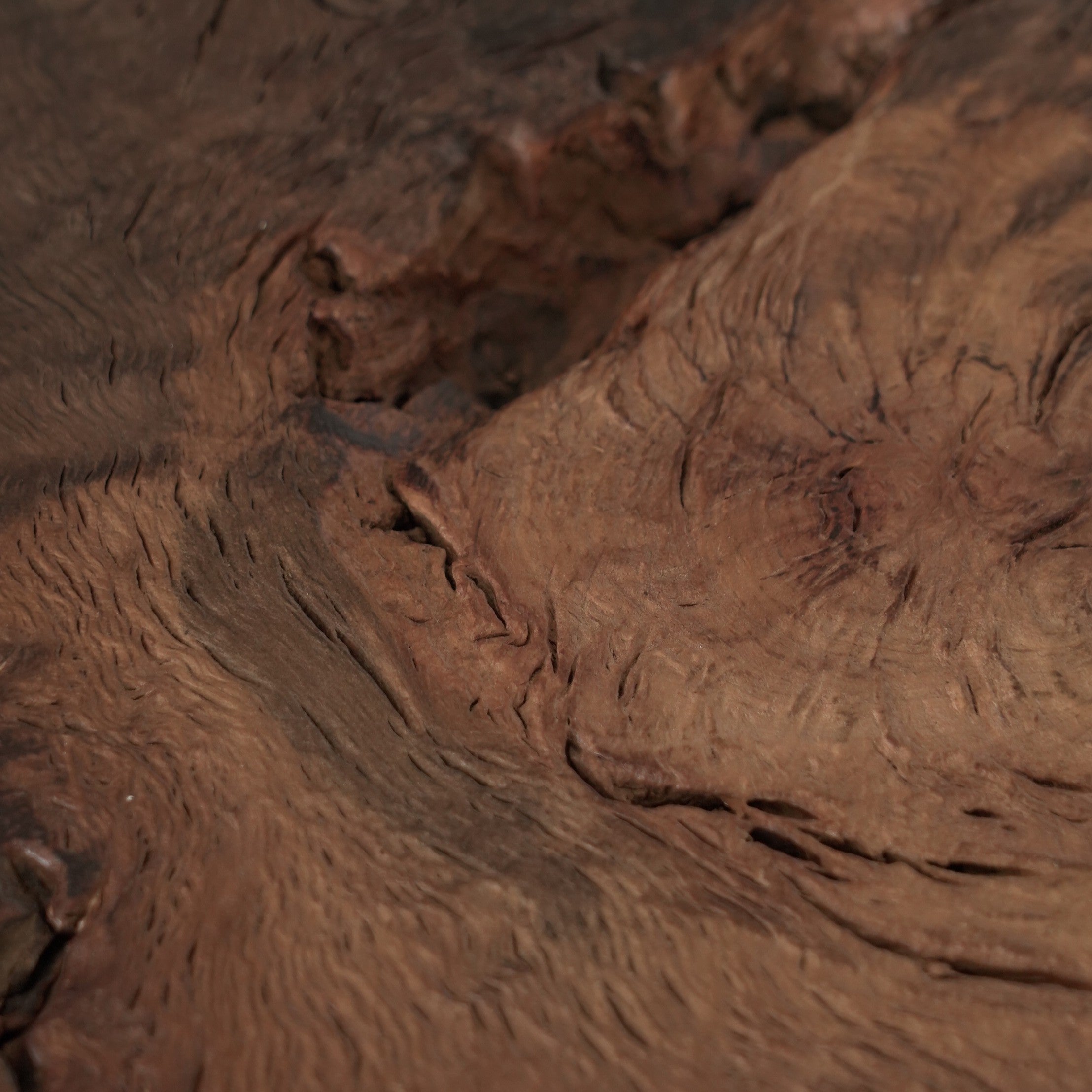 木製樹瘤壺承大